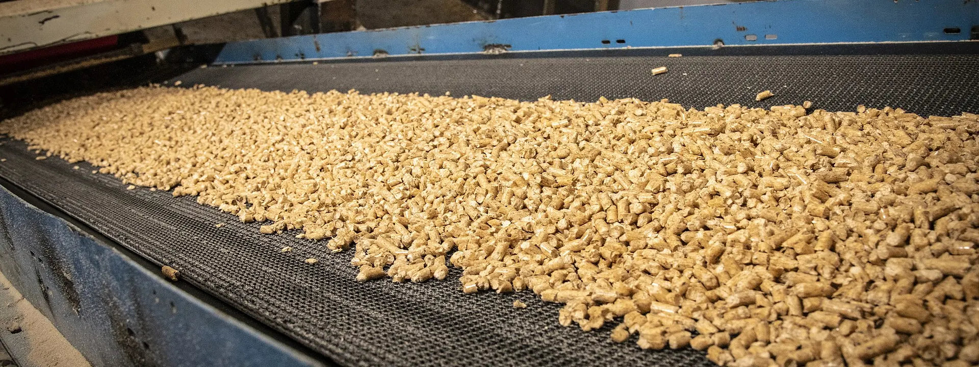 Pellets de madera
